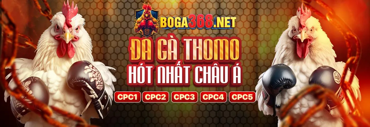 Sân Chọi Gà Trực Tuyến F8BET90 WIN