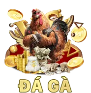 Liên hệ cán bộ bảo vệ dữ liệu của f8bet90 win