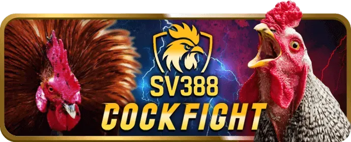 Thưởng nạp lại hàng ngày f8bet90 win