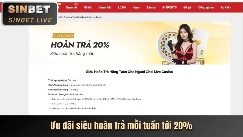 Hoàn trả hàng tuần cho cá cược thể thao tại f8bet90 win